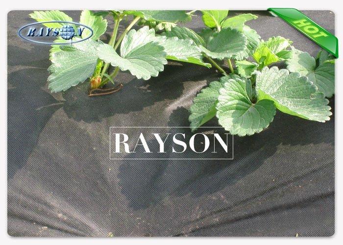 Horticultural UV treated dark green garden weed barrier mat roll with label