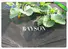 maintain woven polypropylene landscape fabric supplier for root control bags Rayson Non Woven Fabric