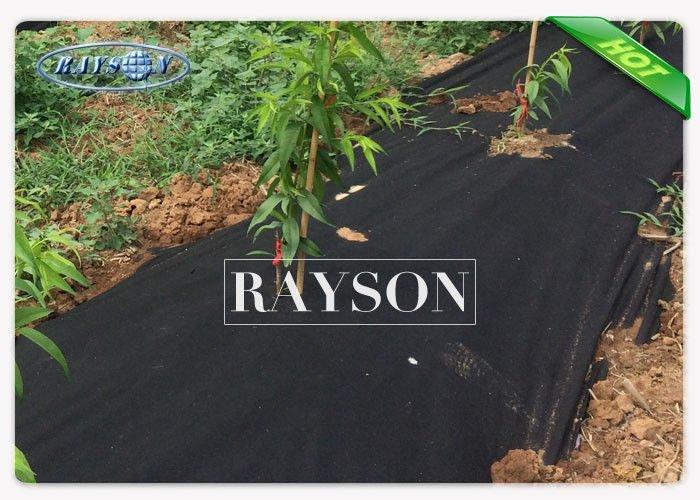 Black Anti UV Ground Cover Garden Weed Control Fabric , Agriculture Nonowoven Fabric