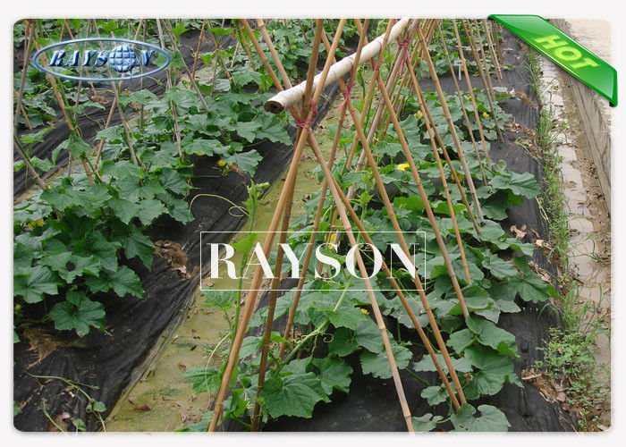 Wide - Width Garden Weed Control Fabric In PP Non Woven Fabric With UV Resistance