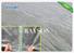 mesh for landscaping technology for ground cover Rayson Non Woven Fabric