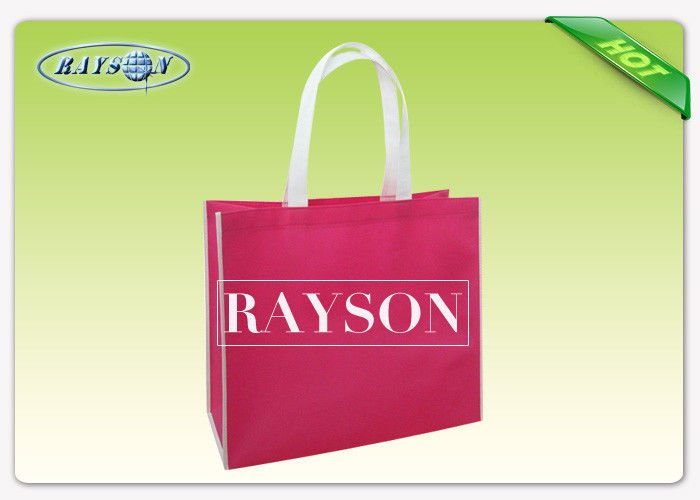 Rayson Non Woven Fabric Heat Seal PP Non Woven Bags In Full Color Range With Popular Design PP Non Woven Bags image9