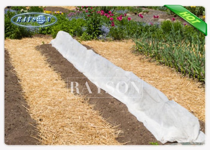 customized green garden fleece series for weed control Rayson Non Woven Fabric