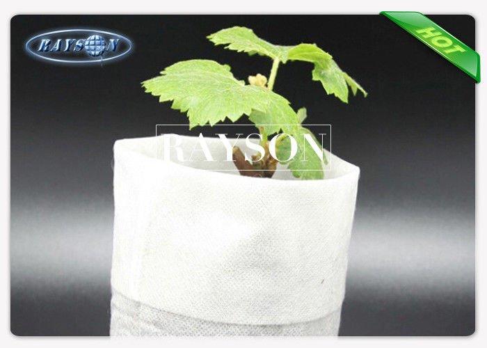 Disposable White Non Woven Cultivating  Bag In PP Spunbond , Plant Growing Bags