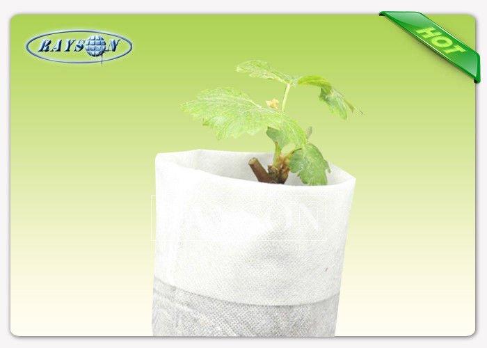Tear-resistant PP Spunbond Non Woven Grow Bags for Plants Heat Sealing