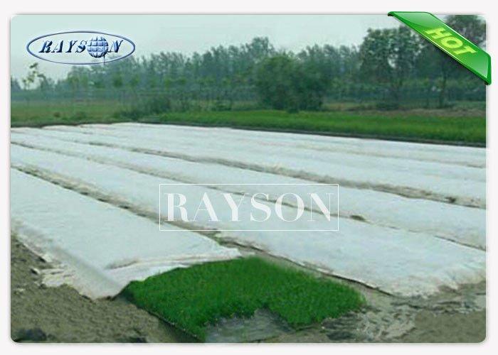 Light Weight Breathable Spunbond Frost Protection Fleece with UV Stabilized for Crop Cover