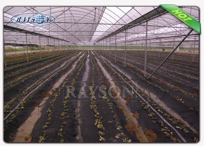Felxible and durable light weight Garden Weed Control Fabric in non woven material
